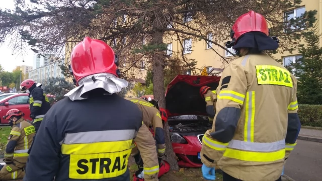 Tczew - Ul. Armii Krajowej. Po zderzeniu z osobówką drzewo spadło na spacerowicza [WIDEO]
