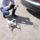 Tczew - Nagroda za znalezienie DRONA Rokitki i okolice