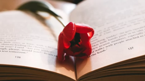 Tczew - Jak literatura rozwija empatię i zrozumienie innych?