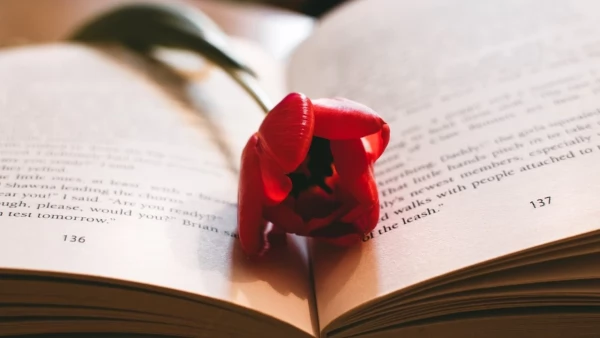Tczew - Jak literatura rozwija empatię i zrozumienie innych?