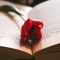 Tczew - Jak literatura rozwija empatię i zrozumienie innych?
