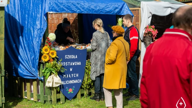Tczew - Jarmark Cysterski 2022 - 200 stanowisk z historią w tle [FOTO]