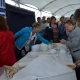 Tczew - Pelplin. Koniec z bezpłatnym parkowaniem przy targowisku 