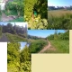 Tczew - MIEJSKA DŻUNGLA - tzn - Zaniedbana "Kanonka"