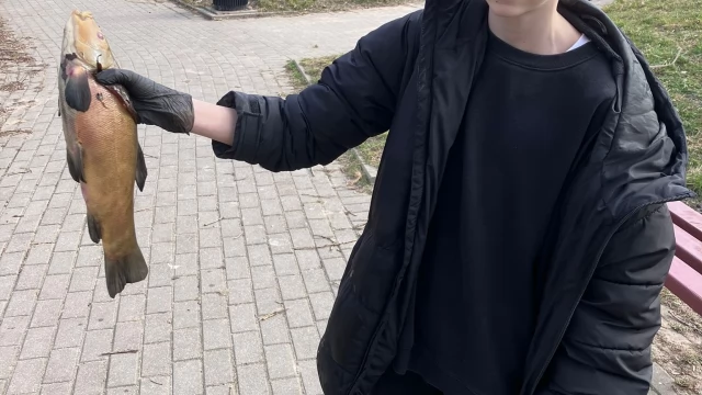 Tczew - Skrzyknęli się i sprzątnęli okolice stawku. Przyducha zabiła ryby
