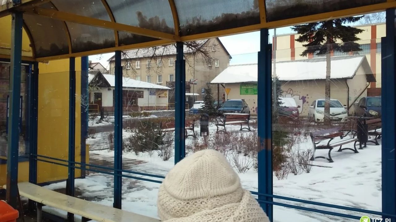 Tczew - Szok! Tak wandale niszczą nasze miasto