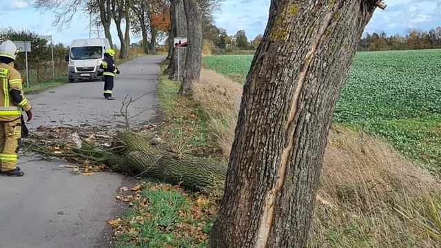 Tczew - Strażacy i energetycy walczą ze skutkami silnego wiatru [AKTUALIZACJA]