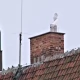 Tczew - Do 8. maja można starać się o środki na wymianę ogrzewania