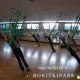 Tczew - Aerial w RokitkiPark
