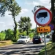Tczew - Niebezpiecznie na ulicy Bałdowskiej