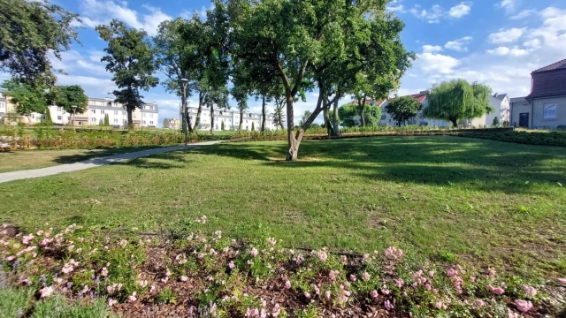 Tczew - Więcej łąk kwietnych, mniej koszenia do ziemi