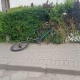 Tczew - Takie cuda na Abisyni