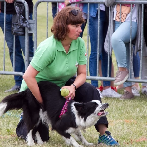 Tczew - Flyball - Wyścigi Psich Sztafet nad Wisłą