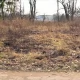 Tczew - Teren po dawnym koszarowcu na razie bez zmiany właściciela
