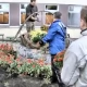 Tczew - Seniorzy mają nowy ogród. Zobacz, jak się cieszą