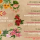 Tczew - Kultura w sąsiedztwie - czyli warsztaty w różnych miejscach Tczewa!
