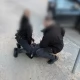 Tczew - Próba kolejnego oszustwa udaremniona. 27-latek zatrzymany przez policjantów