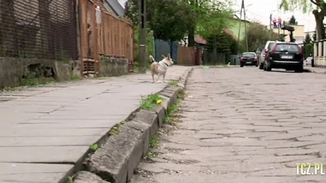 Tczew - Remont ulicy Wigury - druga część też do przebudowy