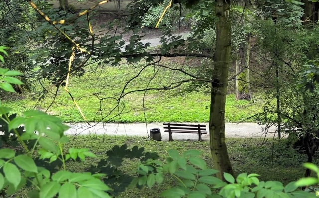 Tczew - Park Miejski. Jest zielone światło od konserwatora
