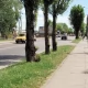 Tczew - W czerwcu ruszy najpoważniejszy tegoroczny remont na terenie miasta