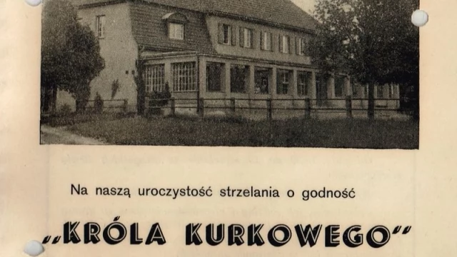Tczew - Ustrzelił kura i został nowym królem