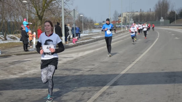 Tczew - Pierwszy w Tczewie Bieg Tropem Wilczym - ponad dwustu biegaczy na starcie