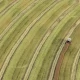 Tczew - Gmina Gniew. Nawet 50 gospodarstw poszkodowanych z powodu suszy