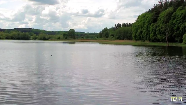 Tczew - Jezioro Rokickie. Wywieźli 3 tony śmieci i stworzyli plażę