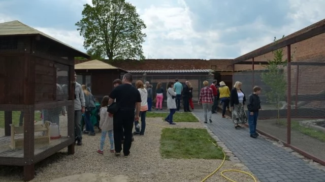Tczew -  Historyczny Park Rozrywki na zamku w Gniewie otwarty