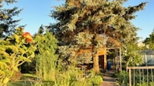 Tczew - Działka RODO na sprzedaż