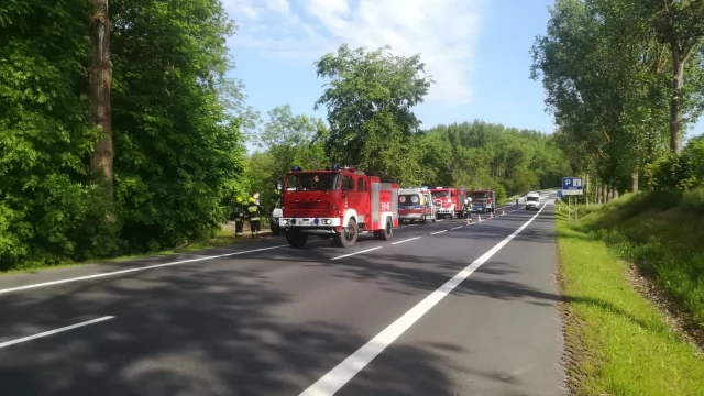 Tczew - Rudno. Osobówka wjechała w drzewo