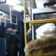 Tczew - Po Nowym Roku zmieniają się ceny przejazdów komunikacją miejską