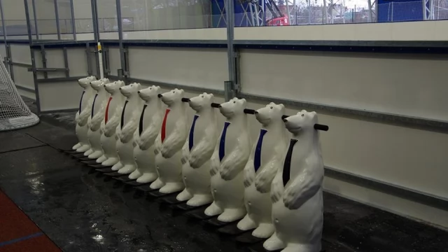 Tczew - Łyżwiarstwo, curling, hokej... 12 stycznia rusza kryte lodowisko!