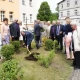 Tczew - Pelplin. Dwa dęby świadectwem wolności
