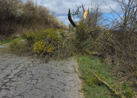 Tczew - Strażacy usuwali skutki wichury