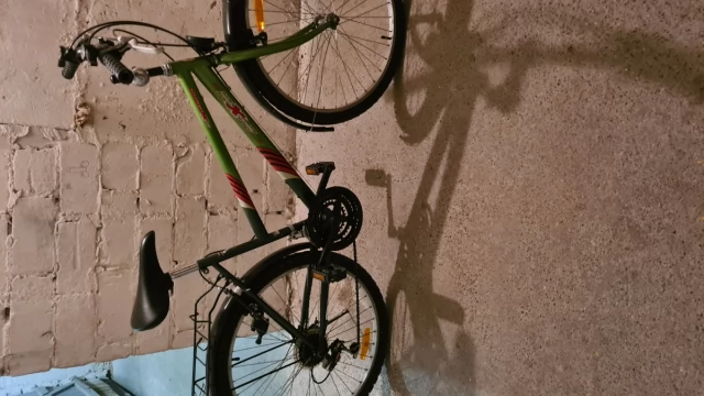 Tczew - rower damski