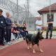Tczew - Uczniowie ze Swarożyna w areszcie w Starogardzie