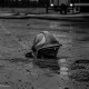 Tczew - Tragedia. W wypadku zginął młody strażak