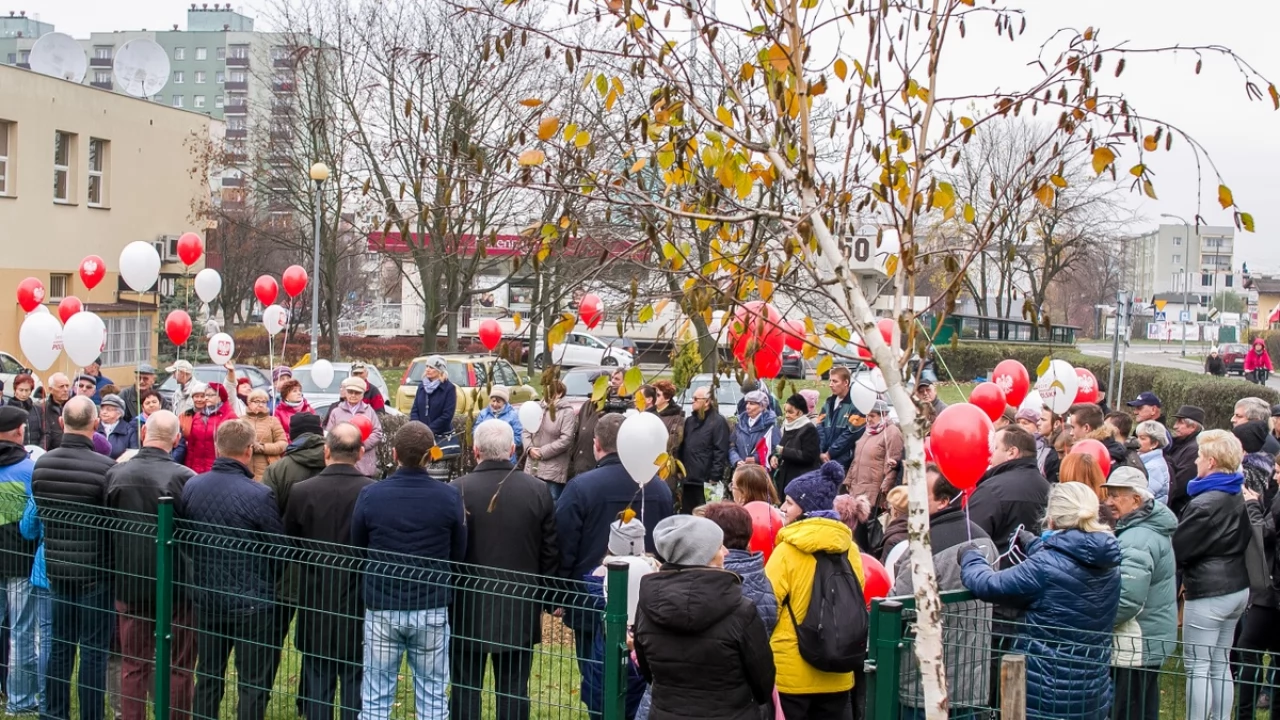 Tczew - Dąb na stulecie niepodległości
