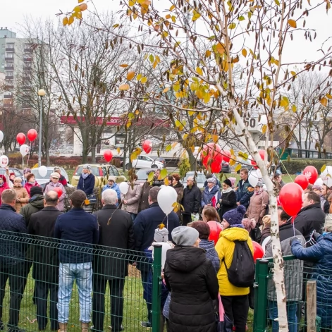 Tczew - Dąb na stulecie niepodległości