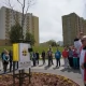 Tczew - W Tczewie rośnie platan dedykowany Janowi Pawłowi II