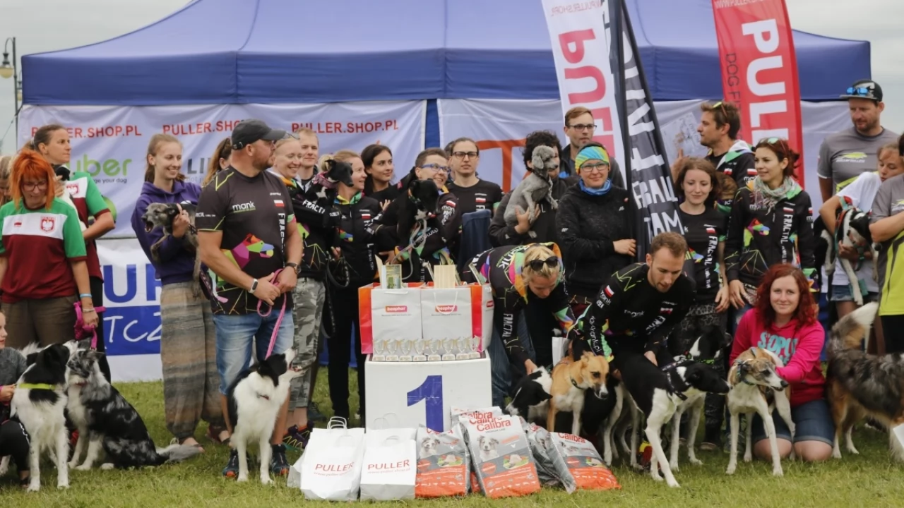Tczew - Zawody Flyball, czyli wyścig psich sztafet