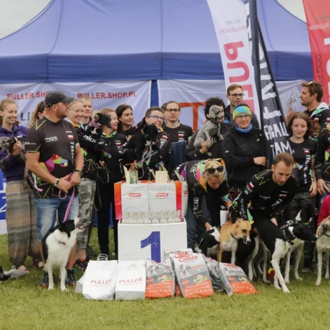 Tczew - Zawody Flyball, czyli wyścig psich sztafet