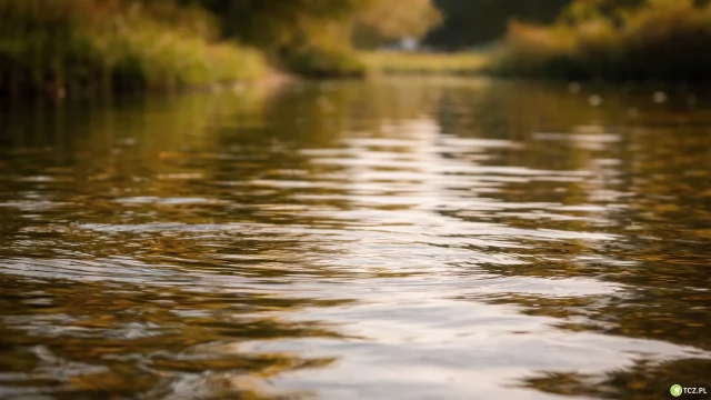 Tczew - Te stawy odpowiadają za retencję w południowej części miasta. Szukają wykonawcy ich przebudowy