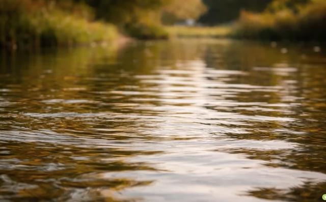 Tczew - Te stawy odpowiadają za retencję w południowej części miasta. Szukają wykonawcy ich przebudowy