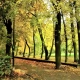 Tczew - Piękno jesieni - Miejski park w Tczewie