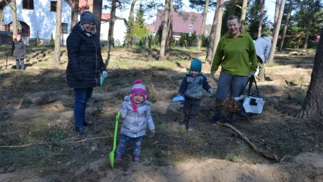 Tczew - W Rokitkach posadzili trzy tysiące drzew