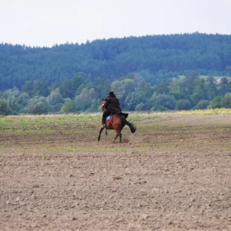 Tczew - Piknik Opaleński - wyścigi traktorów