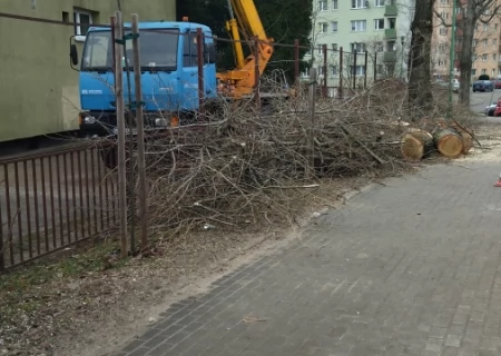 Tczew - Smród, brud i WYCINKA