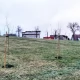 Tczew -  "Nasadzone drzewka przeszkadzają w bezpiecznych zjazdach"